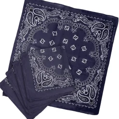 Blue Paisley Bandanas 18" (DZ)