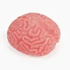 Brain Shaped Splat Balls 2.75" (DZ)