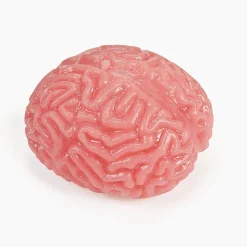 Brain Shaped Splat Balls 2.75" (DZ)