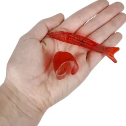 Fortune Teller Fish 3.5
