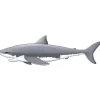 Jointed Shark Cutout 5'11" (EACH)