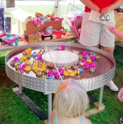 Rental Fishing Game