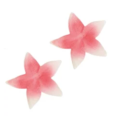 Sea Starfish - Plastic 7.5" (EACH)