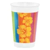 Sunset Stripe Plastic Cups 16 oz (8 PACK)